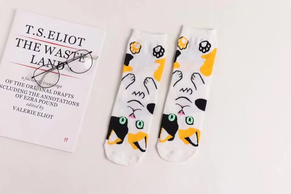 Calcetines Gatos