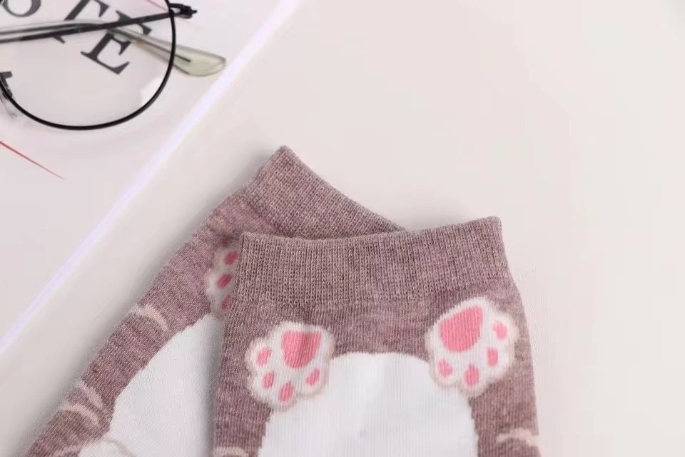 Calcetines Gatos