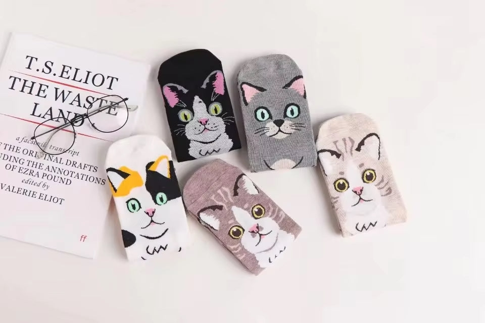 Calcetines Gatos