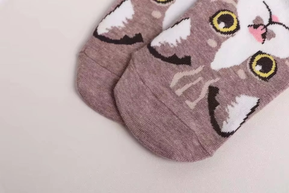 Calcetines Gatos