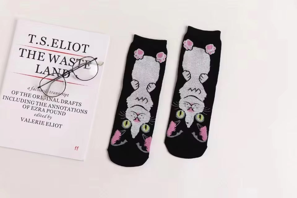 Calcetines Gatos