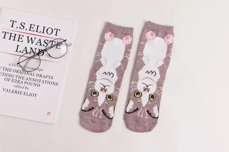 Calcetines Gatos