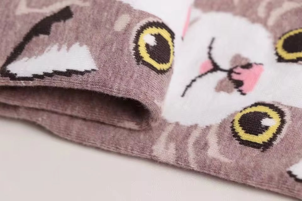Calcetines Gatos
