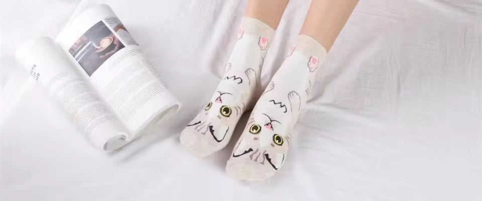 Calcetines Gatos