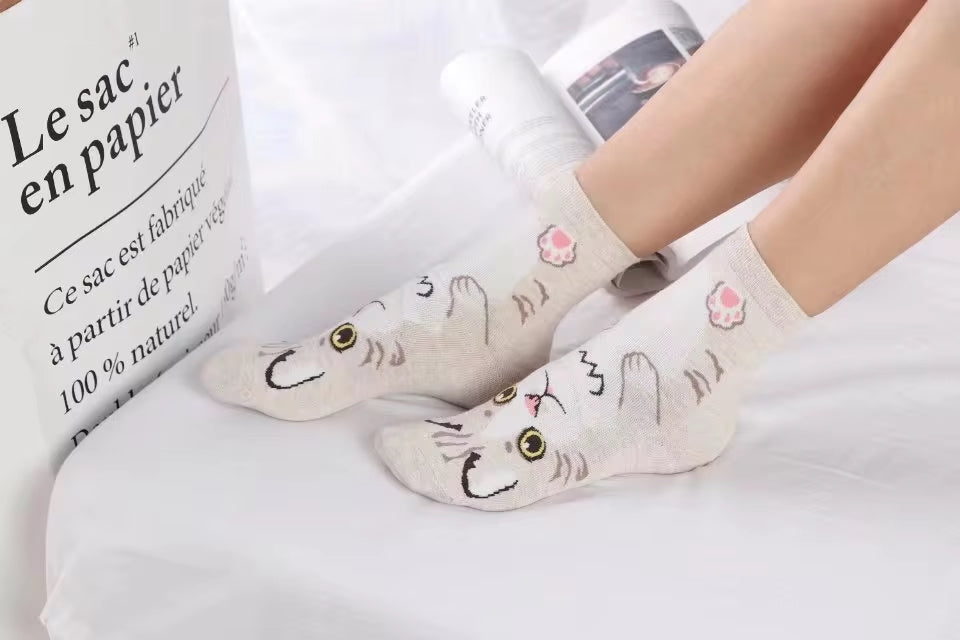 Calcetines Gatos