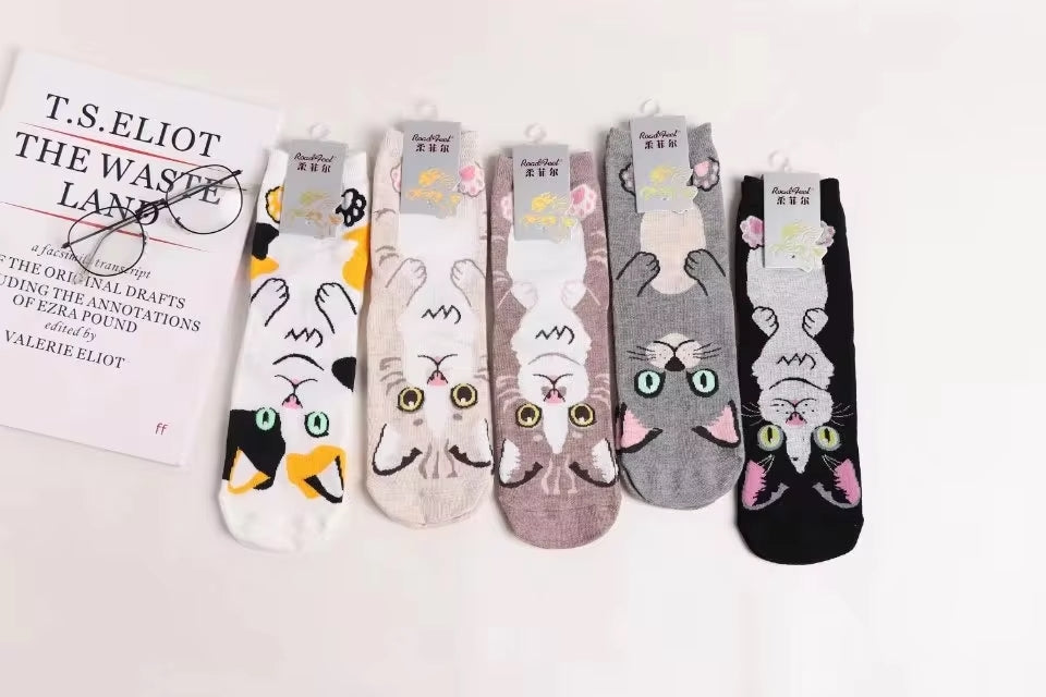 Calcetines Gatos