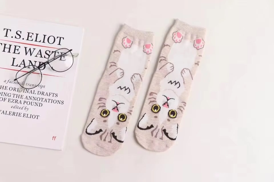 Calcetines Gatos