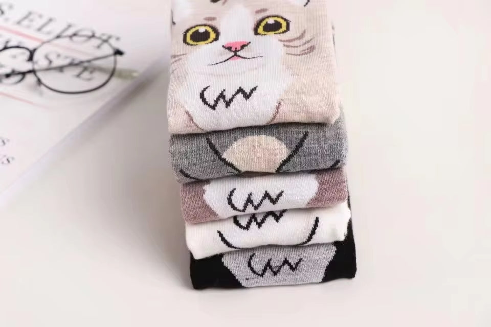 Calcetines Gatos