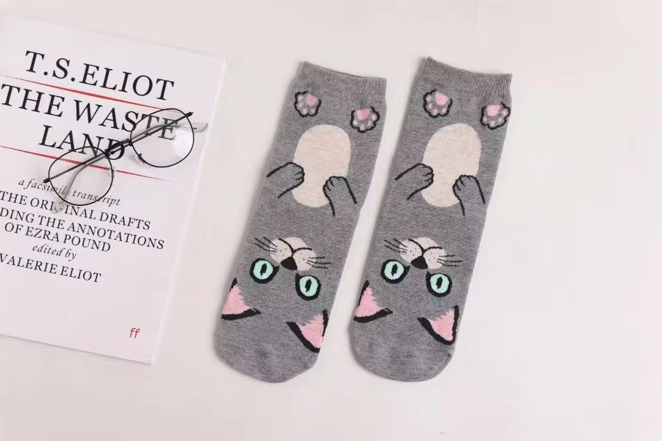 Calcetines Gatos