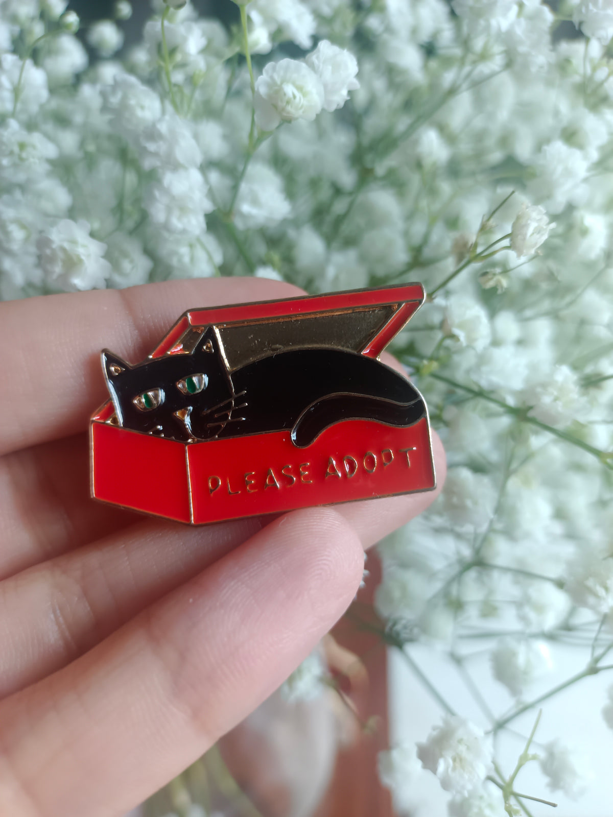 Pin Please Adopt