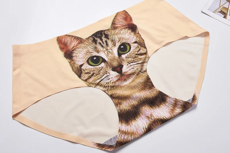 Pantaletas · Gato Café